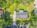 Aerial view of the property, showing the backyard, fire pit, and surrounding greenery at 1144 Corbin Park Rd, New Smyrna Beach, FL 32168