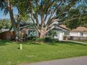 Well-maintained home with mature trees, green lawn, and landscaping at 708 Egret Ct, Edgewater, FL 32141
