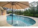 Beautiful kidney-shaped pool in screened enclosure overlooking a tranquil lake and natural preserve at 150 Portofino Blvd, New Smyrna Beach, FL 32168