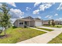 Inviting single-story home with a well-manicured lawn, a two-car garage, and a blue front door at 7223 Sw 61St Pl, Ocala, FL 34474