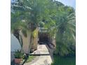 Front entrance with mature tropical landscaping leading up to a beautiful double door entry at 1743 Jacobs Rd, South Daytona, FL 32119