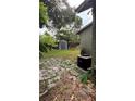 The backyard has a tool shed in addition to the back of the house at 215 Alma Ct, New Smyrna Beach, FL 32168