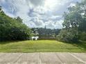 Serene backyard view featuring a calm pond surrounded by lush greenery and mature trees at 2918 Mango Tree Dr, Edgewater, FL 32141