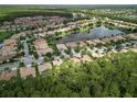 Aerial view of homes nestled around a lake with lush greenery, showcasing the tranquil community setting at 461 Luna Bella Ln, New Smyrna Beach, FL 32168
