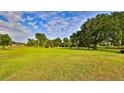 Expansive green lawn with mature trees and ample space for outdoor activities and relaxation at 314 Carol Ann Dr, Edgewater, FL 32132