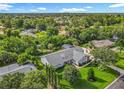 Expansive aerial view of a home showcasing its lush surroundings and backyard at 343 Sweet Bay Ave, New Smyrna Beach, FL 32168