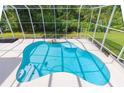 Screened-in pool with clear blue water and ample space for lounging, surrounded by lush greenery at 6065 Spruce Point Cir, Port Orange, FL 32128