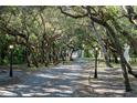 A long paved driveway, lined with mature trees and lampposts, leads to the estate at 4852 S Peninsula Dr, Ponce Inlet, FL 32127