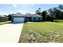 Single story home featuring a manicured front lawn, a wide driveway, and a two-car garage at 1310 Tallahassee Ct, Poinciana, FL 34759