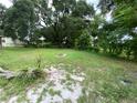 Large backyard featuring lush greenery, mature trees, and plenty of space for outdoor activities and enjoyment at 605 Plum Ln, Altamonte Springs, FL 32701