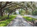 Long, shaded driveway leading to an elegant home with a white picket fence at 12428 Summerport Ln, Windermere, FL 34786
