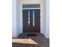 Dark brown double front doors with glass panels and a brick walkway at 816 Johns Point Dr, Oakland, FL 34787