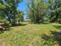 Spacious backyard with mature trees and grassy area at 3408 Lewis Ct, Orlando, FL 32805