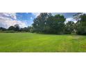 Open lot with green grass and trees at 2661 Waccassa St, Geneva, FL 32732