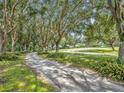 Long driveway leading to a charming house nestled among lush trees at 2075 Genova Dr, Oviedo, FL 32765