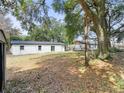 Spacious backyard with a large tree and shed at 1111 N Hart Blvd, Orlando, FL 32818