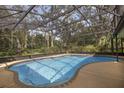 Inviting kidney-shaped pool with screened enclosure at 33629 Wesley Rd, Eustis, FL 32736