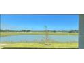 A tranquil backyard view featuring a serene pond, lush green grass, and distant trees at 3106 Windswept, Wildwood, FL 34785