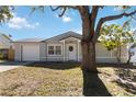 Newly renovated home with a gray exterior, white garage door, and a lush green lawn at 332 Apopka Hills Cir, Apopka, FL 32703