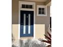 Inviting front door with sidelights and transom window at 10065 Lake District Ln, Orlando, FL 32832