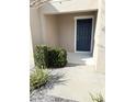 A welcoming front entrance featuring a dark blue door, stone landscaping, and a well-maintained walkway at 2906 Fieldwood Cir, St Cloud, FL 34772