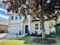 Two-story house with attached garage, and a large tree in the front yard at 10140 Cypress Vine Dr, Orlando, FL 32827