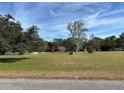 Large lot with mature trees, offering ample space and natural beauty at 31029 Nocatee Trl, Sorrento, FL 32776