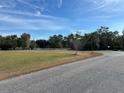 Expansive lot with mature trees, perfect for building or recreation at 31029 Nocatee Trl, Sorrento, FL 32776