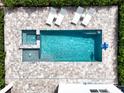 Aerial view of a luxurious private pool with lounge chairs and well-maintained landscaping at 159 Golden Noble St, Kissimmee, FL 34747