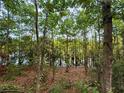 View of the wooded backyard showing a swampy area and plenty of trees at 513 San Sebastian Ct, Davenport, FL 33837