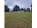 Large grassy area in front of the house at 24217 Adair Ave, Sorrento, FL 32776