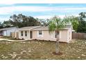 Updated single story home with a palm tree and walkway at 1209 Baranova Rd, Ocoee, FL 34761