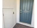 Close up image of the front door of this home at 2063 Town Pasture Dr, Eustis, FL 32726