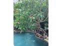 Relaxing pool with lush landscaping and water features at 9130 Dollanger Ct, Orlando, FL 32819