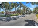Arden Park community entrance with palm trees and a brick-paved road at 1918 Arden Oaks Dr, Ocoee, FL 34761