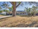 Large tree shades the front of this ranch style house at 4213 Seybold Ave, Orlando, FL 32808