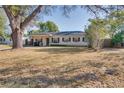 Front yard view of a ranch house with a large tree at 4213 Seybold Ave, Orlando, FL 32808