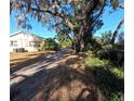 Long driveway leading to a ranch style home with mature trees at 9000 Ogilvie Dr, Orlando, FL 32819