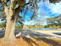 Peaceful lakefront view with mature oak trees and lush landscaping at 4732 Lighthouse Cir, Orlando, FL 32808