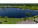 Expansive waterfront property with lush greenery, palm trees, and an American flag waving in the breeze at 1433 Lake Marion Dr, Apopka, FL 32712
