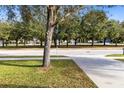 Residential street lined with mature trees and homes at 1624 Valmont Ln, Apopka, FL 32703