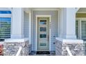 Modern front door with glass panels and a stone entryway at 9085 Yonath St, Orlando, FL 32827