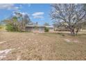 Rear view of home showcasing a large backyard at 1432 Libby Rd, Babson Park, FL 33827