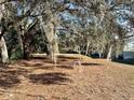 Spacious backyard with mature trees and Spanish moss at 3457 Seminole St, Gotha, FL 34734