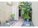 Pathway to front door, framed by lush greenery and stone at 8133 Citrus Chase Dr, Orlando, FL 32836