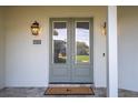 Gray double front doors with glass panels and sidelights at 8679 Harbor View Dr, Orlando, FL 32817