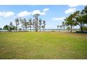 Spacious backyard with lake view and green grass at 14415 Lake Huckleberry Ln, Winter Garden, FL 34787