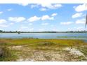 This lush green space extends to the calm lake waters, perfect for relaxation and enjoying nature's beauty at 14415 Lake Huckleberry Ln, Winter Garden, FL 34787