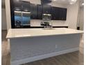 Modern kitchen with white quartz countertops, dark cabinetry, and stainless steel appliances at 2916 Crest Wave Dr, Clermont, FL 34711