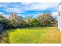 Spacious backyard with lush grass, mature trees, and a privacy fence at 10050 Hidden Dunes Ln, Orlando, FL 32832
